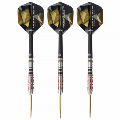 Michael Smith 2023 Steeldart, World Champion, Believe, 26 Gramm