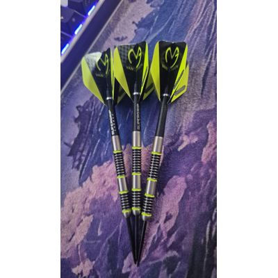 Michael Van Gerwen Aspire Steeltip 21G