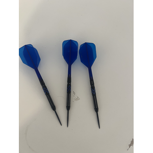 Gerwyn Price Steeldarts 21gramm