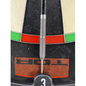 Raymond van Barneveld Darts G1 23g