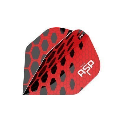 Target Pro Ultra Flight, Nathan Aspinall No. 2