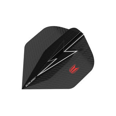 Target Phil Taylor Power Gen 5, Vision