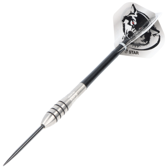Steeldart Barrels silber, Tropfenform, 85% Tungsten, 21 Gramm, 8 image