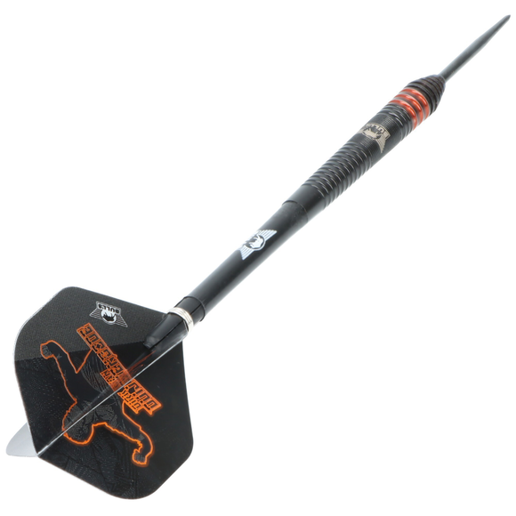 Dirk van Duijvenbode E2, Steeldart 90%, schwarz, 24gr, 3 image