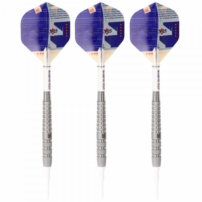 Target Raymond van Barneveld Softdart, Barney 25, 95% Tungsten