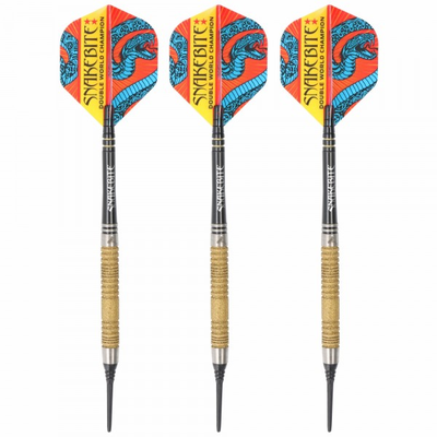 Softdarts Peter Wright DWC SE Gold 20 Gramm