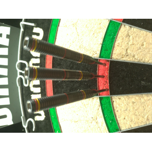 Ricardo Pietreczko Darts 25g 90% Tungsten