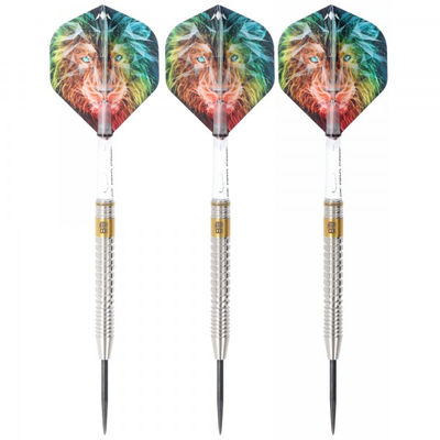 Steeldart Silber mit PVD Gold Beschichtung, 22 Gramm