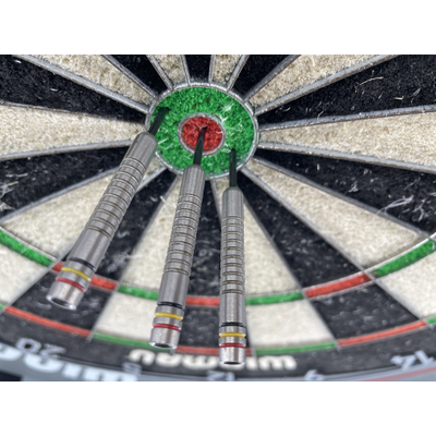 Dimitri Van den Bergh Unicorn Premier Steeldarts 22g