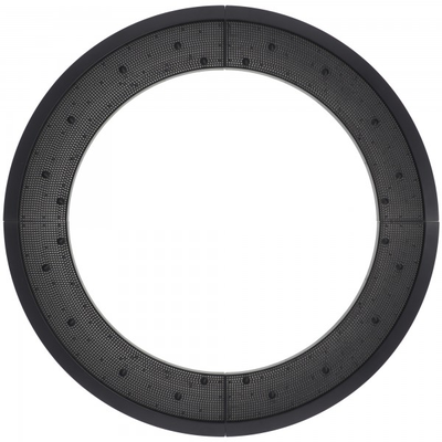Schwarzwald Dartcatchingsegment Original Löwen für alle Löwendart, 4 Stück