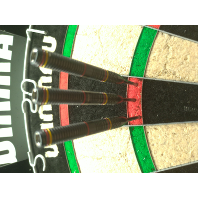 Ricardo Pietreczko Darts 25g 90% Tungsten