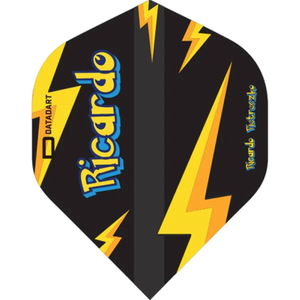 Datadart Ricardo Pietreczko Flights No.2 (Standard), Farbe: Schwarz