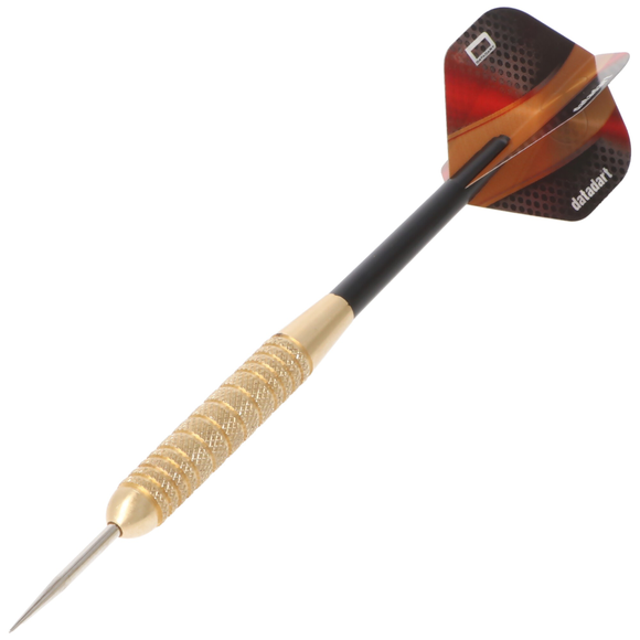 Datadart Butt Brass, Steeldart, Knurled, 24 Gramm, 2 image