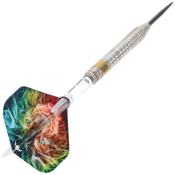 Steeldart Silber mit PVD Gold Beschichtung, 22 Gramm, 3 image