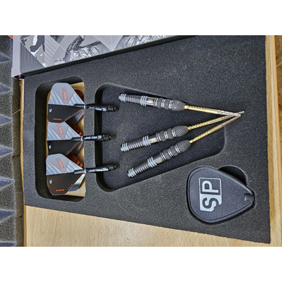 Target Raymond van Barneveld x echo Steeldarts 21g