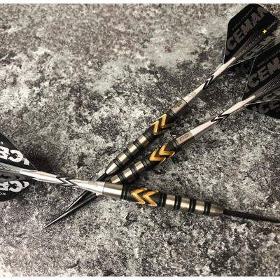 Gerwyn Price Steeldarts