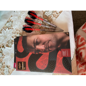 Target Aspinall Gen2 Steeldarts