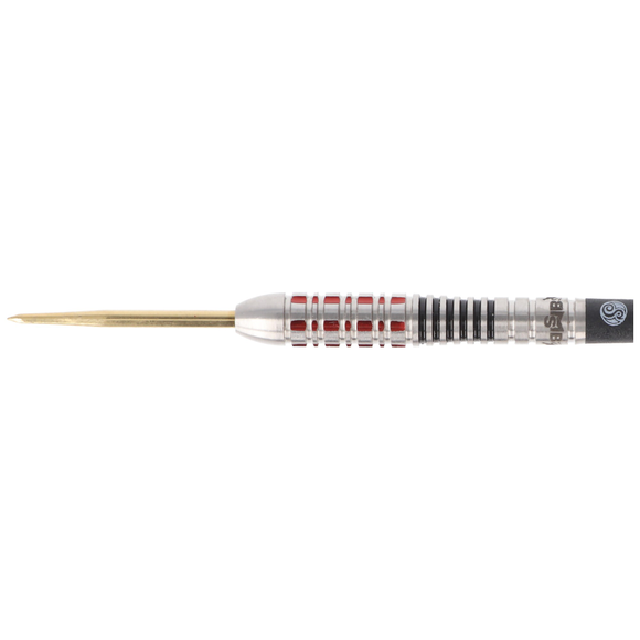 Michael Smith 2023 Steeldart, World Champion, Believe, 26 Gramm, 5 image