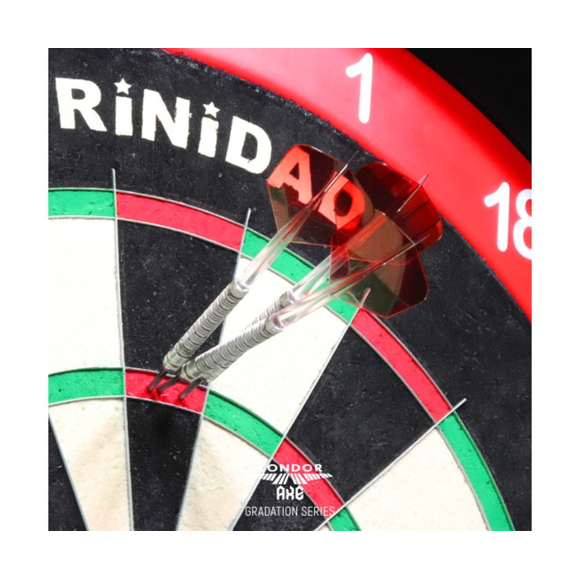 Condor Axe Gradient Flight