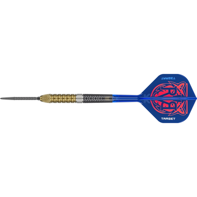Target Raymond van Barneveld G6 Swiss Point Steeldart 95%, Gewicht: 21g