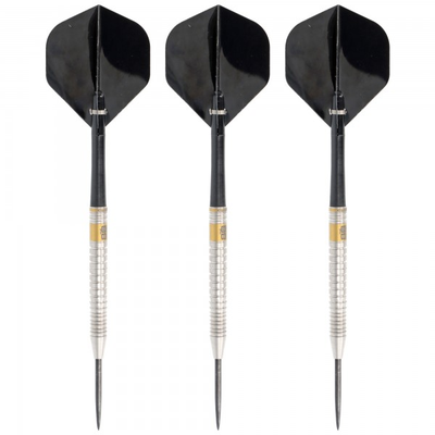 23 Gramm Steeldart Barrel Silber mit PVD Gold Beschichtung