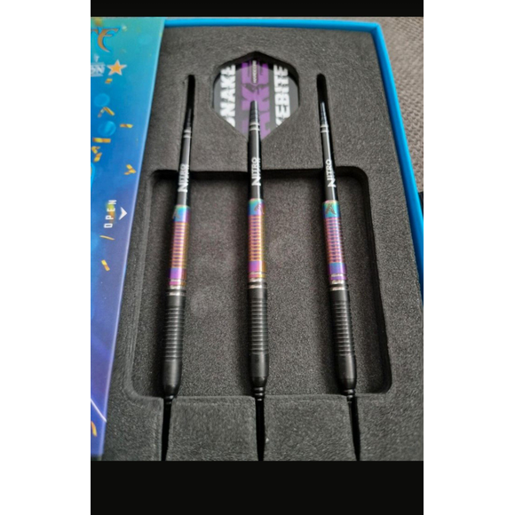 Peter Wright Champion Dart 2020, 2 image