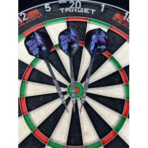 Target Phil Taylor Power 8ZERO 4 Black Titanium Swiss Point 80% - Steeldarts