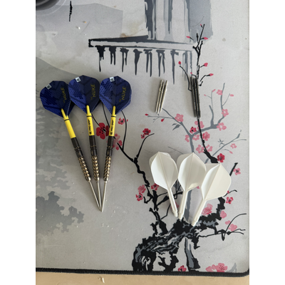 Littler Darts gen1 22G Vergoldet