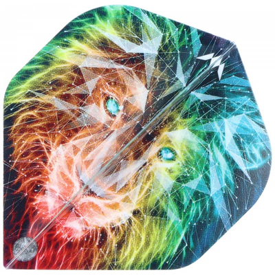 Dart Flight Dominik Grüllich im Loewe Design, Std. No.2