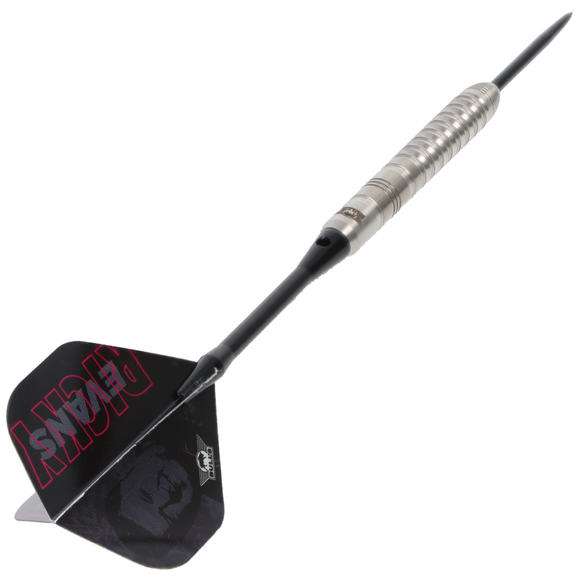 Bulls Ricky Evans E2 Steeldart, Rapid, 80% Tungsten, 4 image