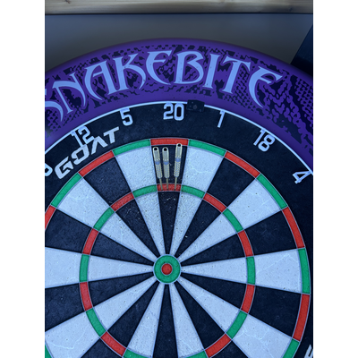 Luke Littler G1 Prodigy Swiss Point 23g