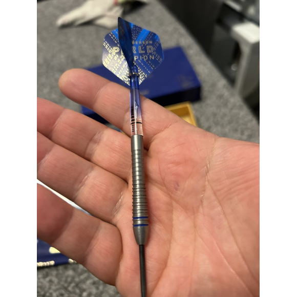 Gary Anderson Darts