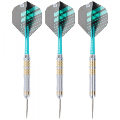 Target Rob Cross Voltage Steeldart, 22 Gramm