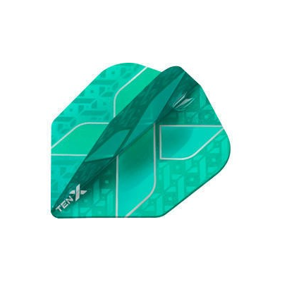 Target Ten X Aqua Flight, Vision