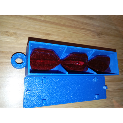 Dart Flight Box Aufbewahrung für Robson Krystal Force 90 K-Flex Axe Flights Case, Farbe: Schwarz