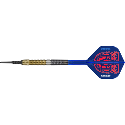 Target Raymond van Barneveld G6 Softdart 95%, Gewicht: 18g