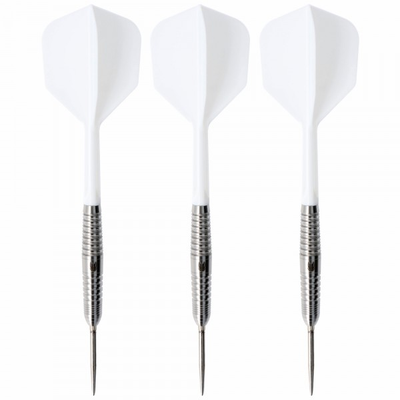 Target Japan Crux courage Steeldart, 90% Tungsten, 22 Gramm