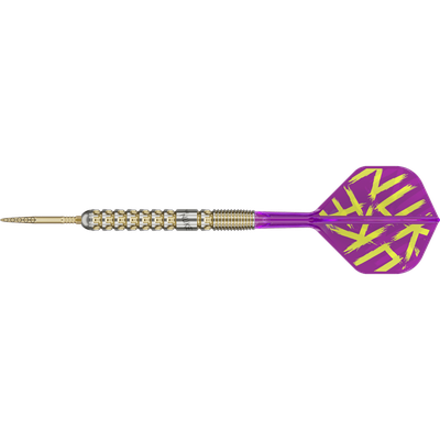 Target Luke Littler G1 Prodigy Swiss Point Steeldart 90%, Gewicht: 24g