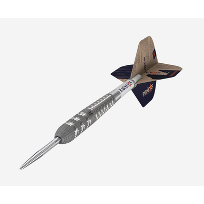 Target Raymond van Barneveld, Barney 25, RvB