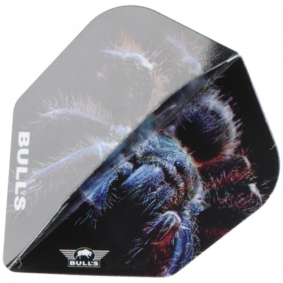 Dart Flight Tarantel, Spinne, No.6