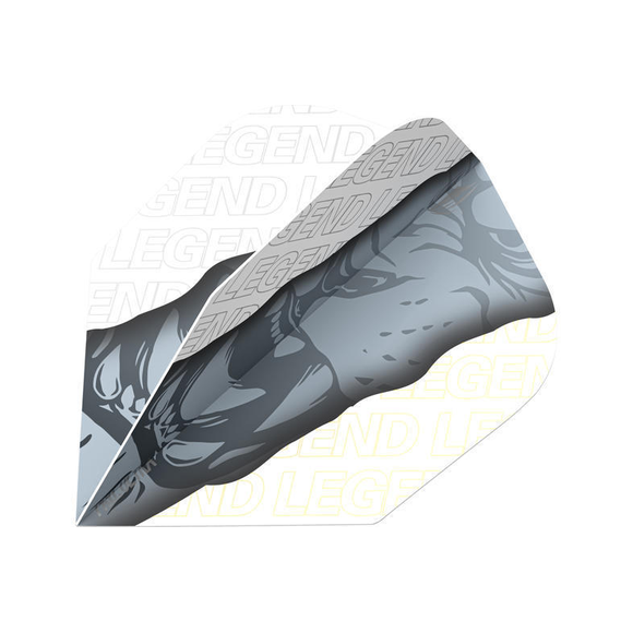 Target Paul Lim Gen 4 Flight , no6,Vision