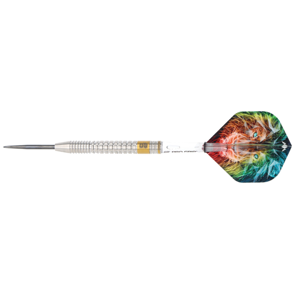 Steeldart Silber mit PVD Gold Beschichtung, 22 Gramm, 6 image