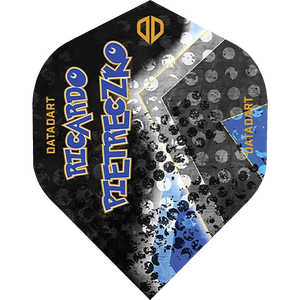 Datadart Ricardo Pietreczko 80% No.2 Flight