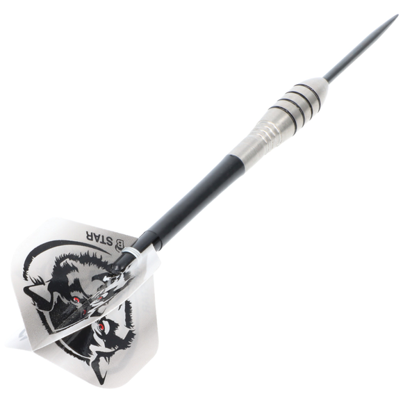 Steeldart Barrels silber, Tropfenform, 85% Tungsten, 21 Gramm, 9 image