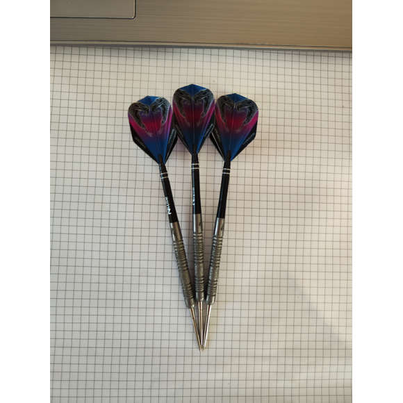 Peter Wright Euro 11 Element 24g v2