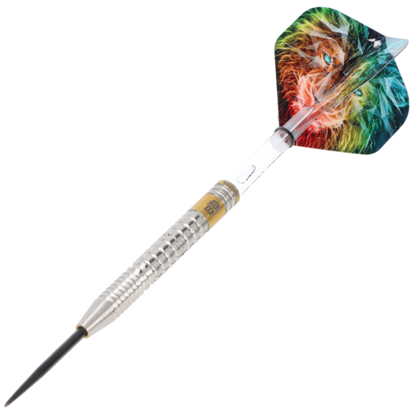 Steeldart Silber mit PVD Gold Beschichtung, 22 Gramm, 2 image