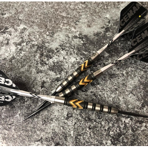 Gerwyn Price Steeldarts