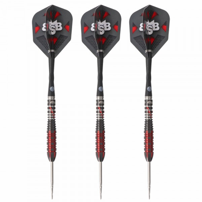 Michael Smith 2023 Steeldart, World Champion, Tenacious, 25 Gramm