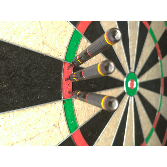 Ricardo Pietreczko Darts 25g 90% Tungsten, 2 image