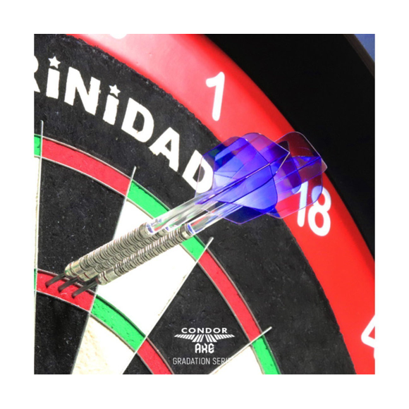 Condor Axe Gradient Flight